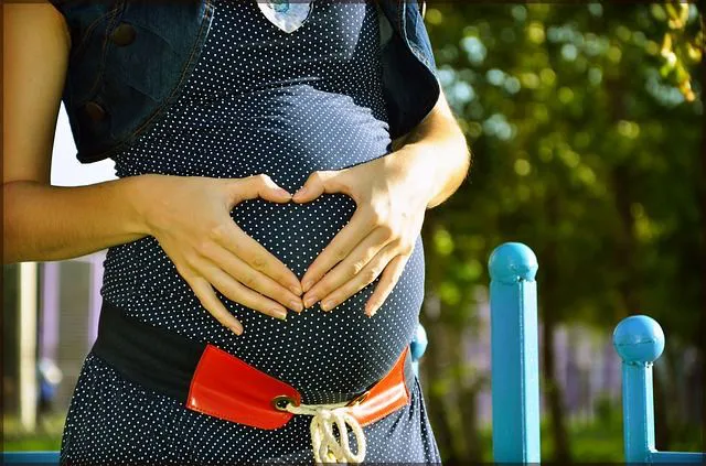 pregnant 244662 640