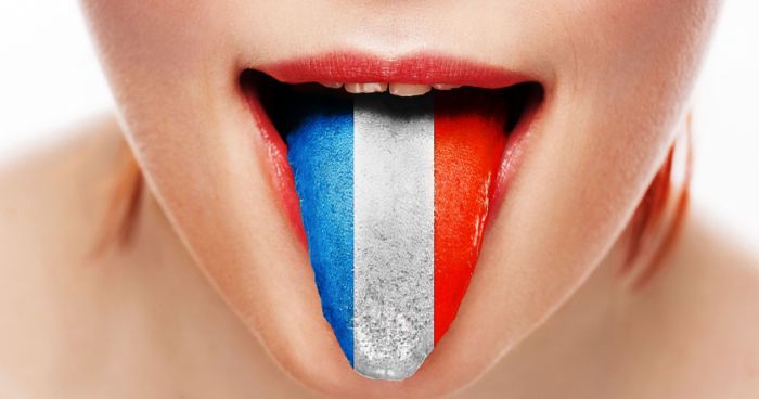 Языковой вопрос ?! как изучать французский язык